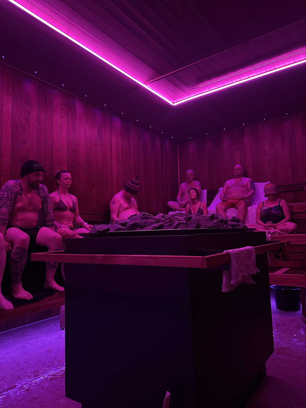 Just Sauna Wellness - billede 2